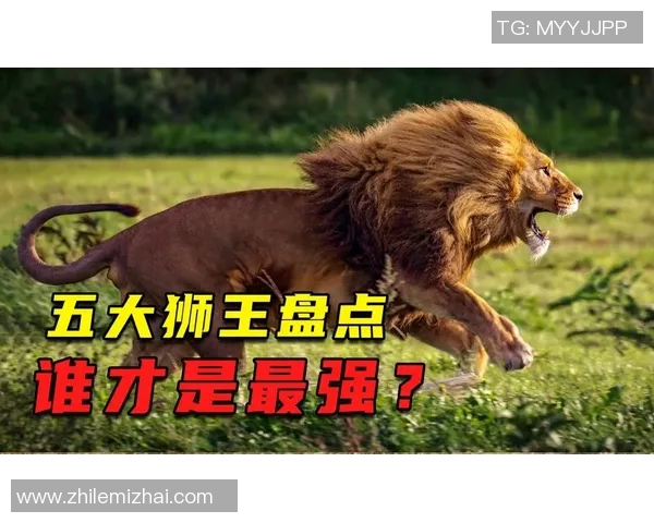 上古足球明星粤语名盘点与传奇故事分享