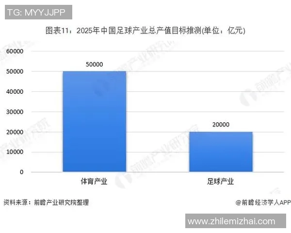 足球明星薪资与市场价值的深度解析与比较分析